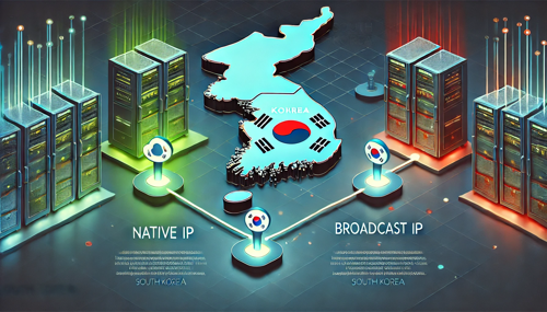 选择越南VPS CN2服务器提升您的网站速度